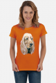 Spaniel