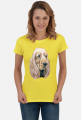 Spaniel