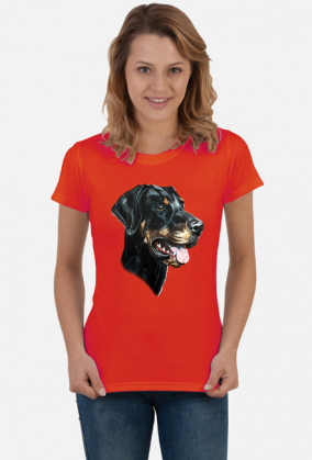 Doberman