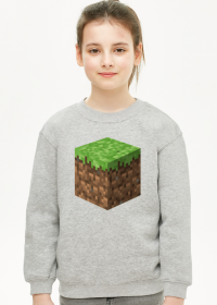 Minecraft, hoodie, bluza, dirt