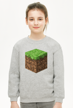 Minecraft, hoodie, bluza, dirt