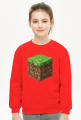 Minecraft, hoodie, bluza, dirt