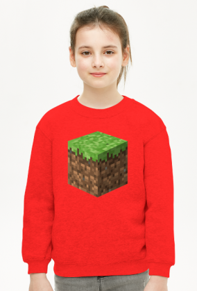 Minecraft, hoodie, bluza, dirt