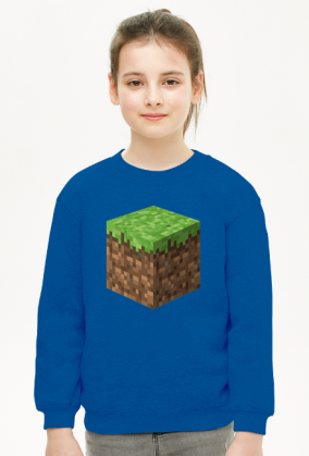 Minecraft, hoodie, bluza, dirt