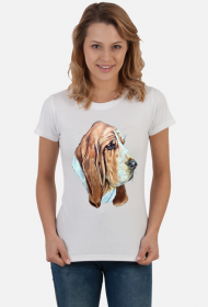 Basset