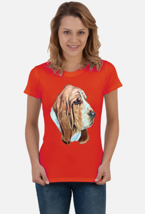 Basset