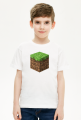 Minecraft, T-shirt, koszulka, dirt