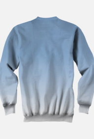 Bluza męska FP samolot