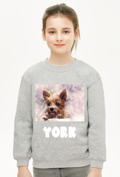 Bluza YORK