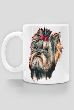 York shire terrier