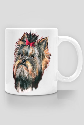 York shire terrier
