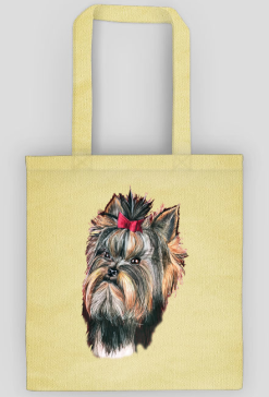 York shire terrier