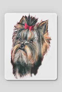 York shire terrier
