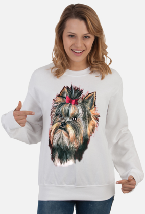 York shire terrier