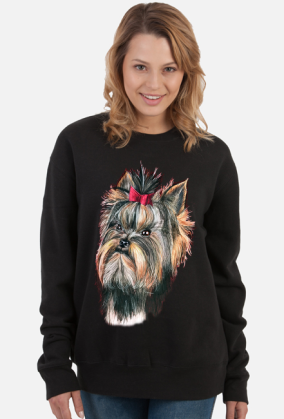 York shire terrier