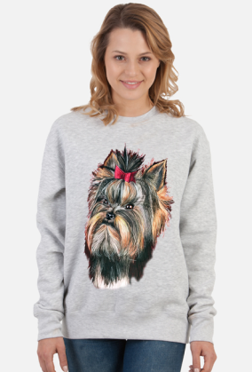 York shire terrier