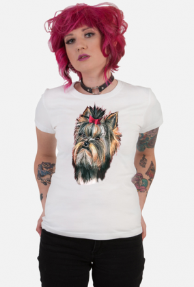 York shire terrier