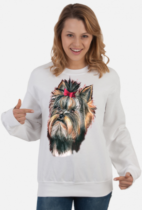York shire terrier
