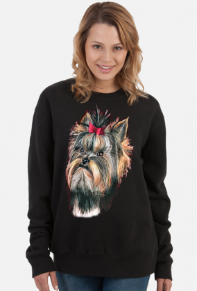 York shire terrier