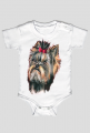 York shire terrier
