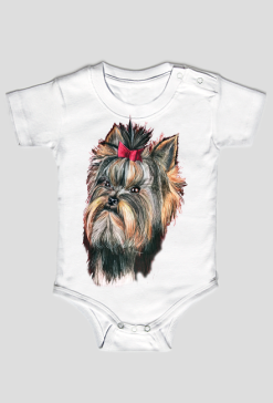 York shire terrier