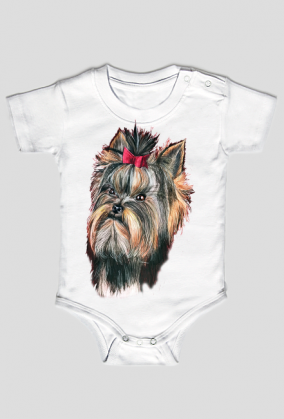 York shire terrier