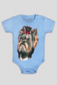 York shire terrier