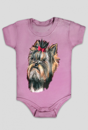 York shire terrier