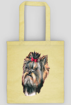 York shire terrier