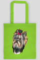 York shire terrier