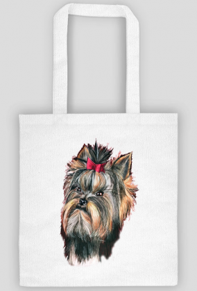 York shire terrier
