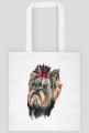 York shire terrier