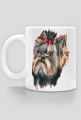 York shire terrier
