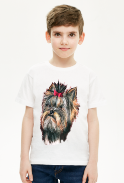 York shire terrier