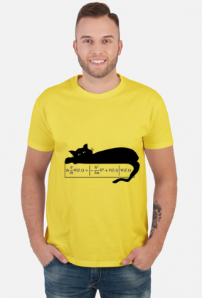 Równanie Schrödingera - t-shirt jasny