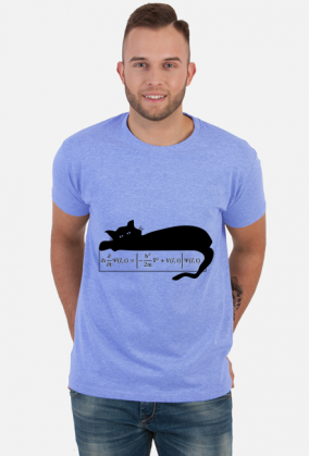 Równanie Schrödingera - t-shirt jasny
