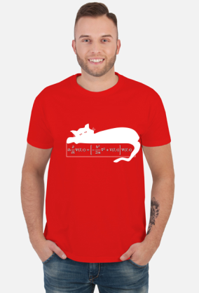 Równanie Schrödingera - t-shirt ciemny