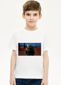 Koszulka Baby Yoda
