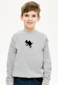 BLUZA DLA CHLOPCA Z SPINOZAUREM