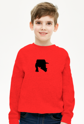 BLUZA DLA CHLOPCA Z TRICERATOPSEM