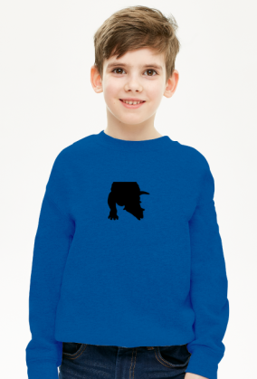BLUZA DLA CHLOPCA Z TRICERATOPSEM