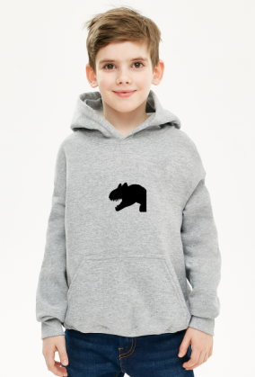BLUZA DLA CHLOPCA Z CARNOTAUREM