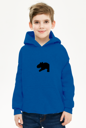 BLUZA DLA CHLOPCA Z CARNOTAUREM