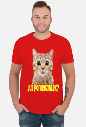 Już Poniedziałek (różne kolory) | ToSeKup