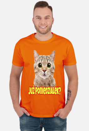 Już Poniedziałek (różne kolory) | ToSeKup