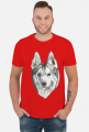 Syberian Husky