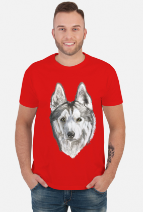 Syberian Husky