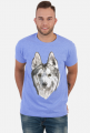 Syberian Husky
