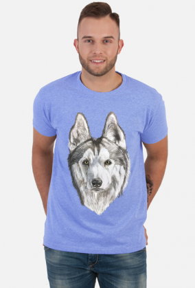 Syberian Husky