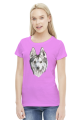 Syberian Husky